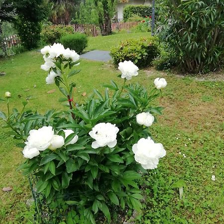 Alloggio Cristina Valdobbiadene Ngoại thất bức ảnh
