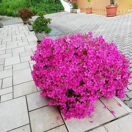 Alloggio Cristina Valdobbiadene Ngoại thất bức ảnh