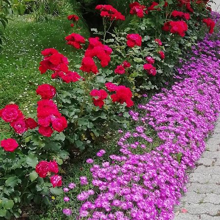 Alloggio Cristina Valdobbiadene Ngoại thất bức ảnh