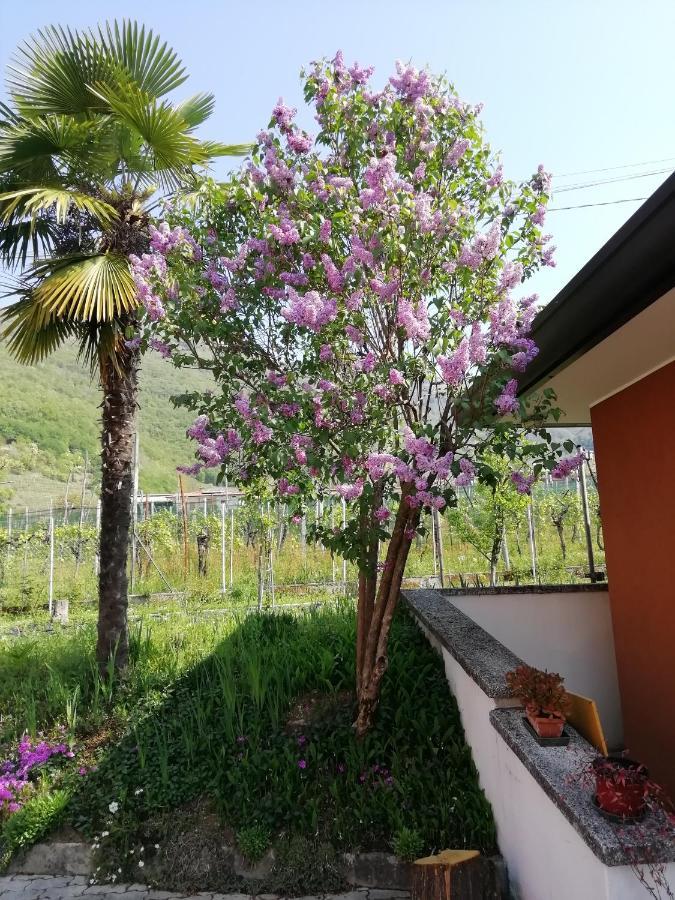 Alloggio Cristina Valdobbiadene Ngoại thất bức ảnh