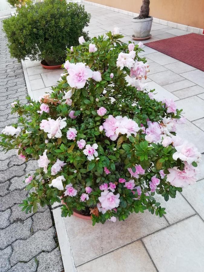 Alloggio Cristina Valdobbiadene Ngoại thất bức ảnh