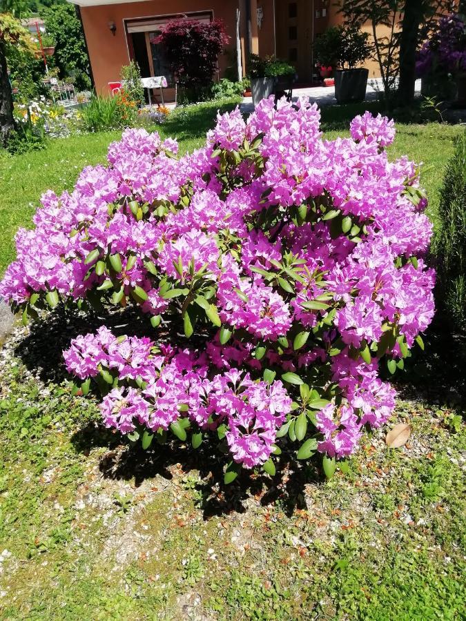 Alloggio Cristina Valdobbiadene Ngoại thất bức ảnh