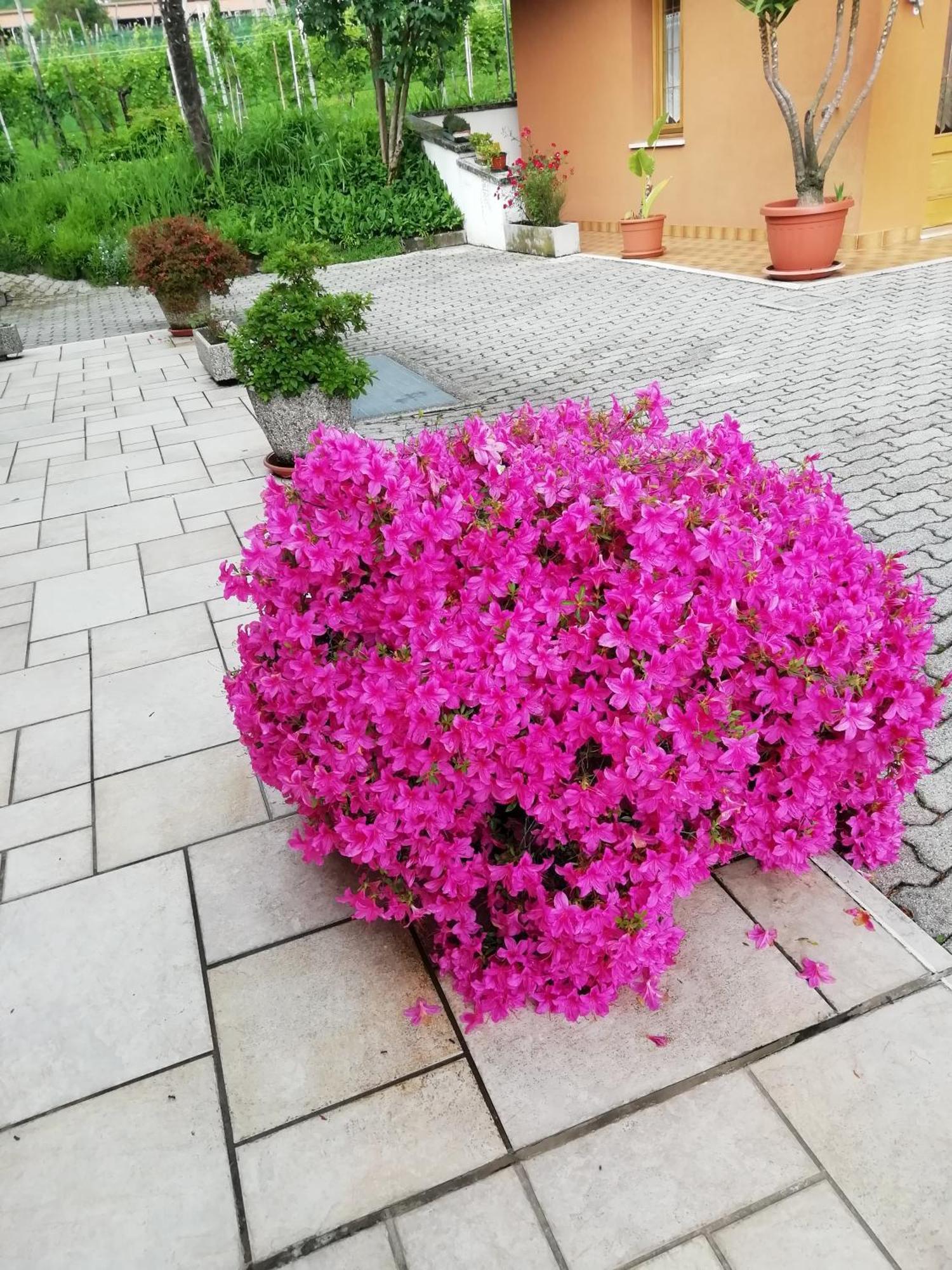 Alloggio Cristina Valdobbiadene Ngoại thất bức ảnh