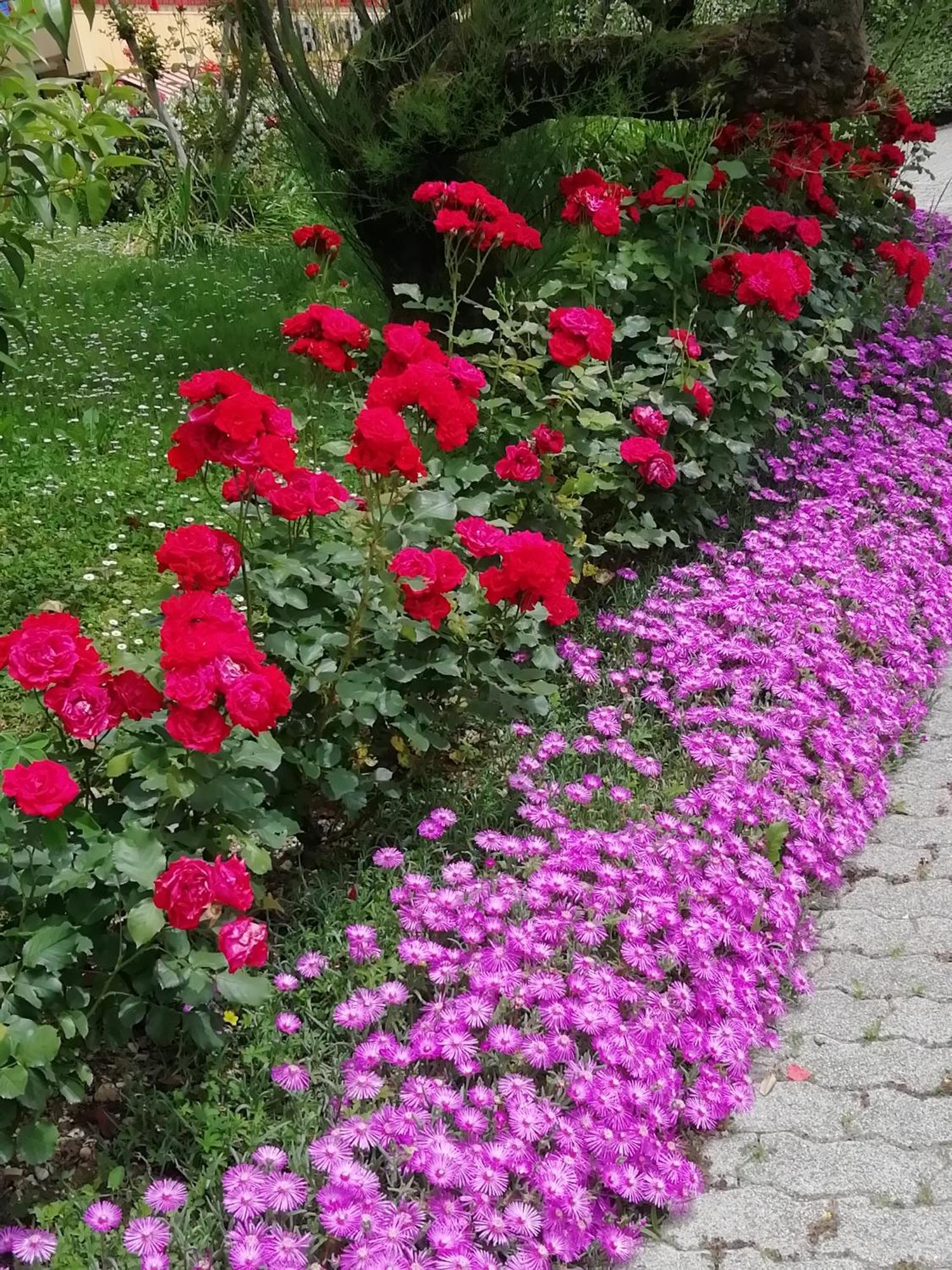 Alloggio Cristina Valdobbiadene Ngoại thất bức ảnh